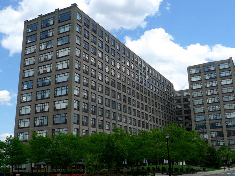 Top Dog Walkers in Hoboken, NJ Wag!