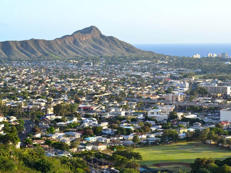 Top Dog Walkers in Ewa Beach, HI Wag!