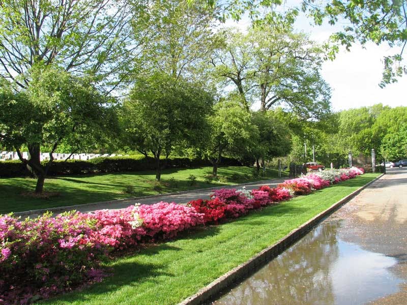 Top Dog Walkers in Kew Gardens, Queens Wag!