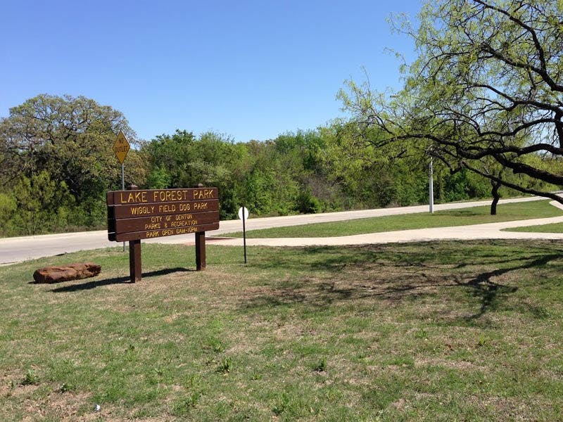 Top Dog Walkers in Denton, TX Wag!