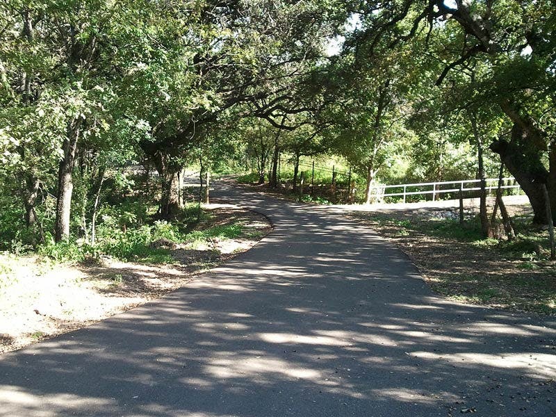 Top Dog Walkers in Dunlay, TX 78861 Wag!