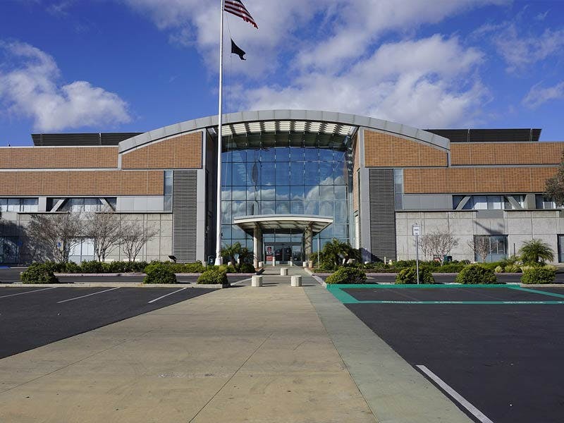 Top Dog Walkers in Northridge, Los Angeles Wag!