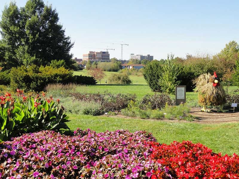 Top Dog Walkers in Lexington, KY | Wag!