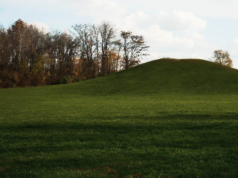 Stable Chase Estates