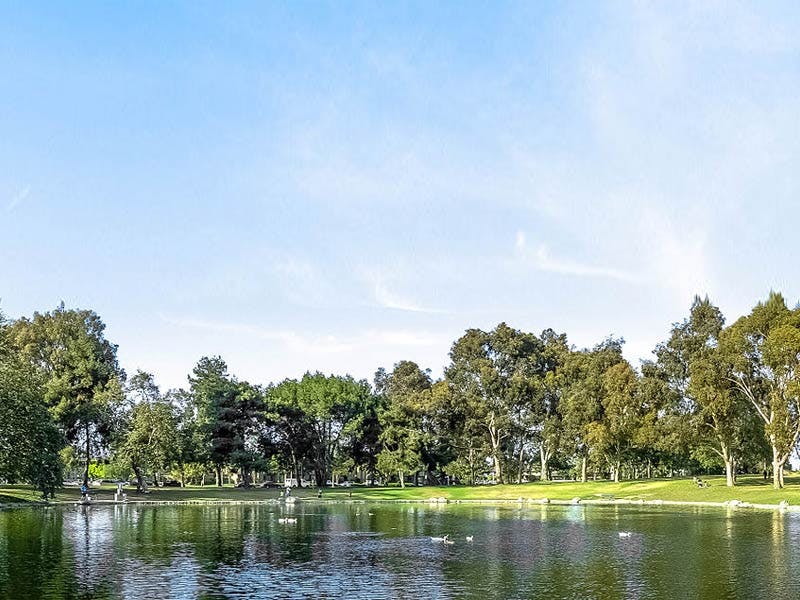 Top Dog Walkers in Santa Ana, CA Wag!