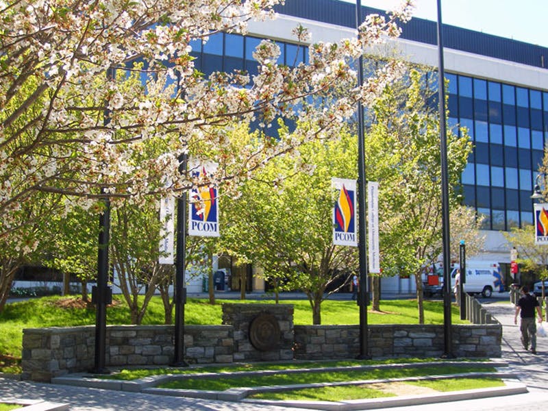 Wynnefield Heights South