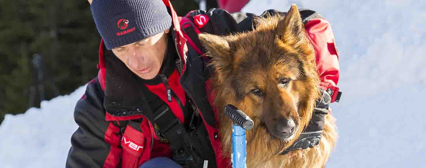 Watch Her method for How to Train Your Dog to Alert for Seizures