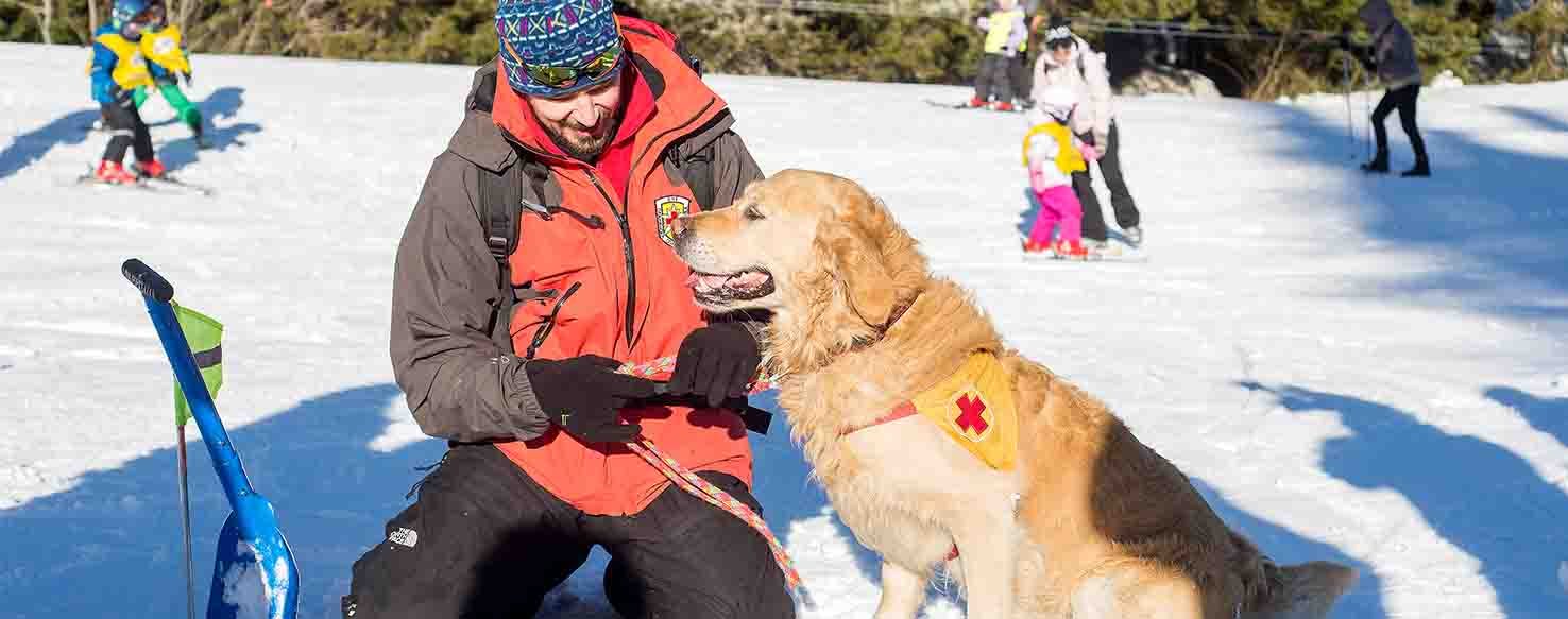 Positive Reinforcement method for How to Train Your Dog to Alert for Seizures