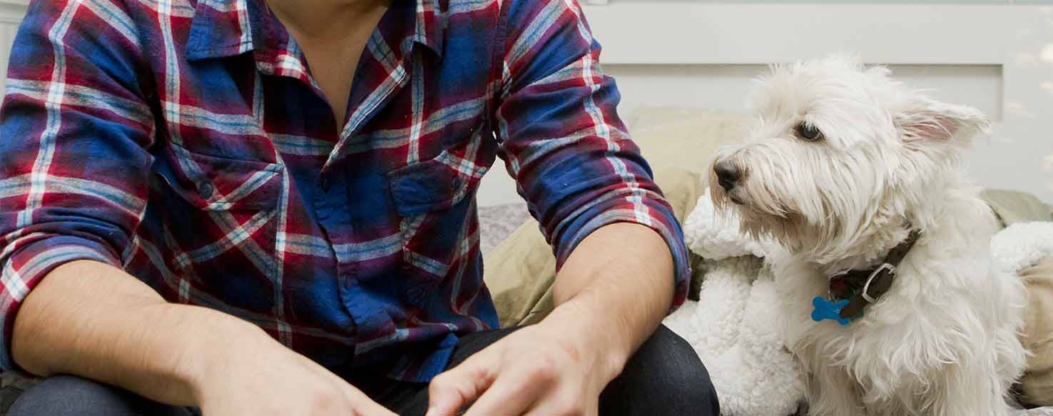 Gentle Edge Closer method for How to Train Your Dog to Back Up