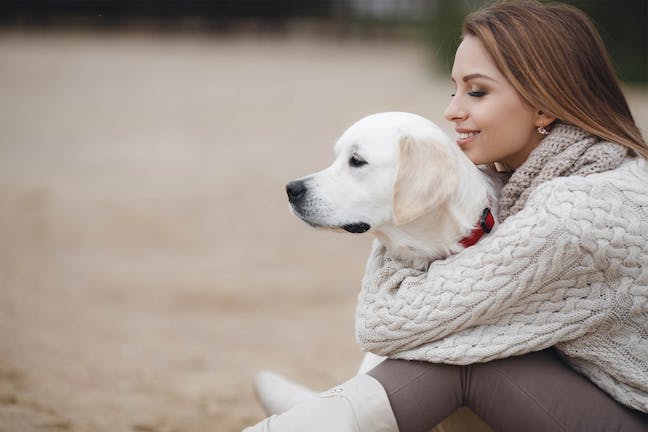 How to Train Your Dog to Be Calm How to Train Your Dog to Be Calm