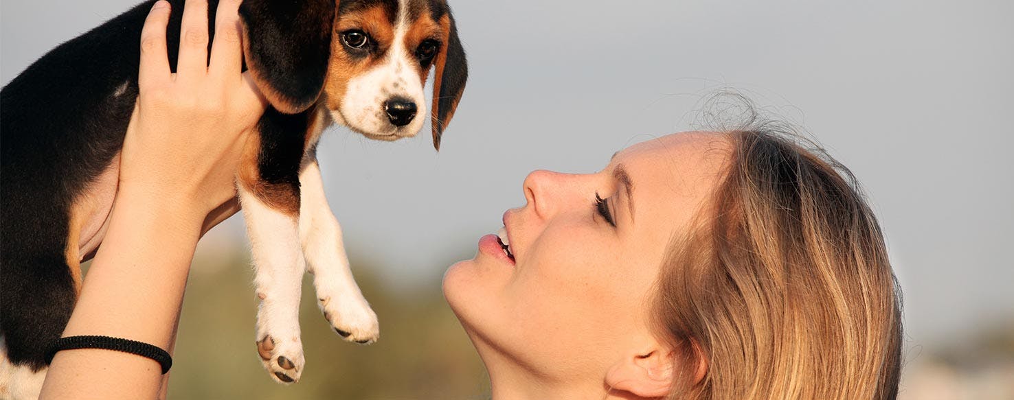 Gentle Treat Taking method for How to Train Your Dog to Be Gentle