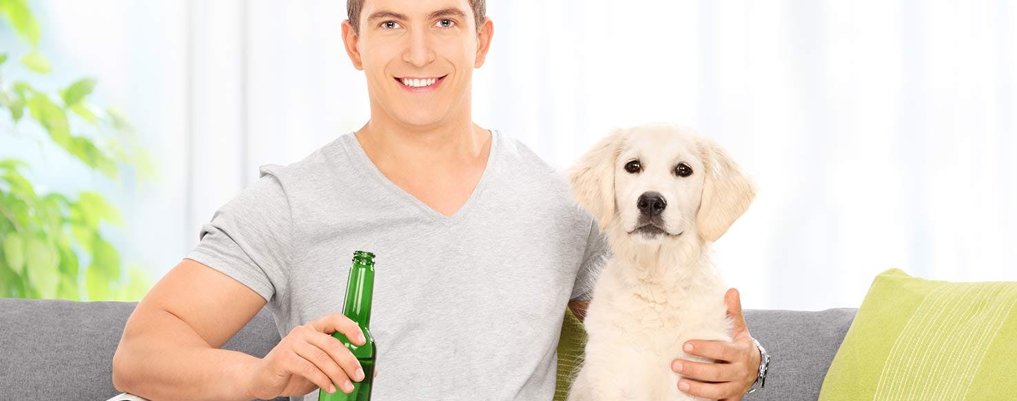 how do you train a dog to get you a beer