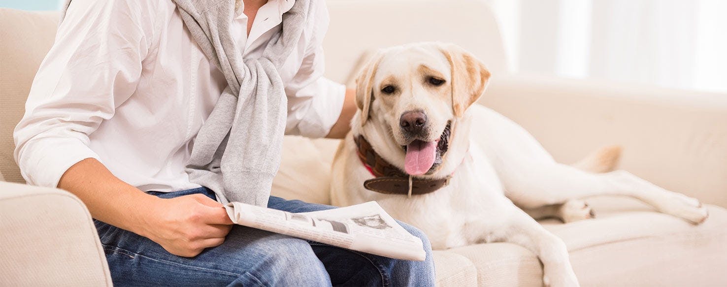 Simple Retrieve method for How to Train Your Dog to Bring You the Newspaper