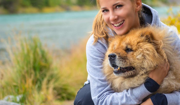 How to Train Your Chow Chow Dog to Come | Wag!