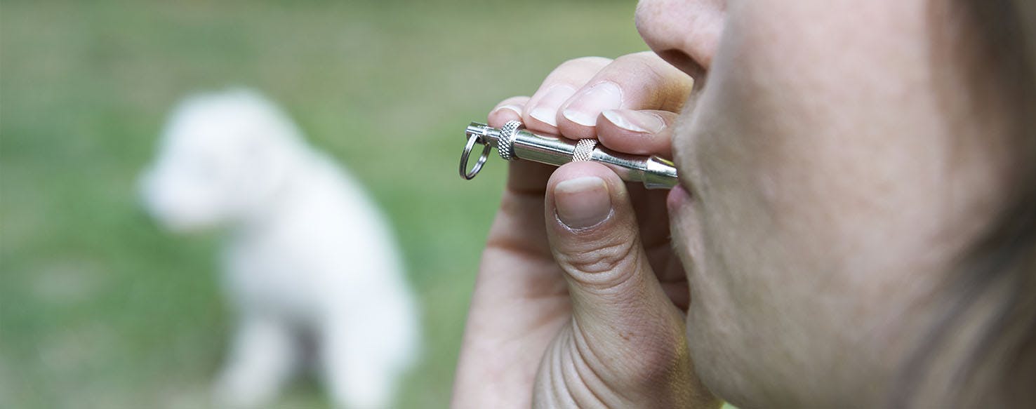 Wind-Up method for How to Train Your Dog to Come with a Whistle