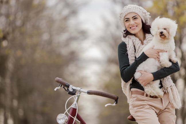 How to Train Your Dog to Come How to Train Your Dog to Come