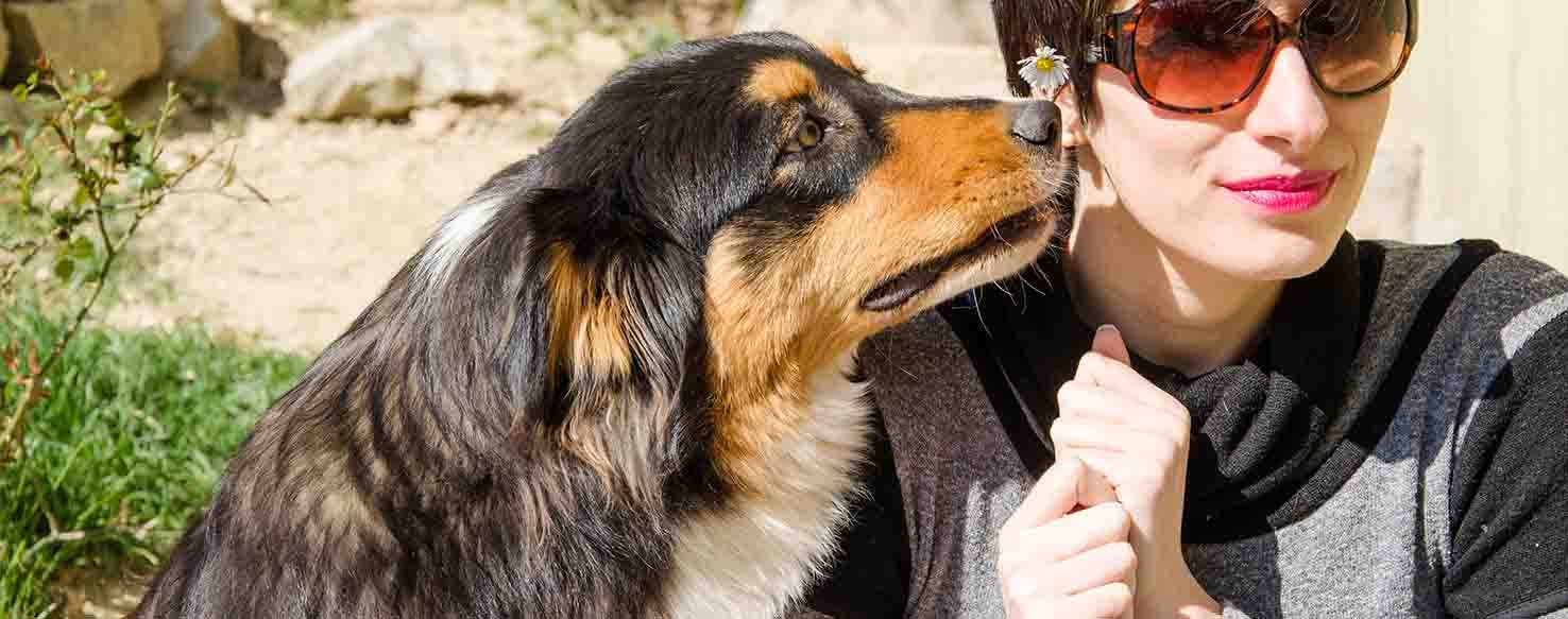 Find Using Scent method for How to Train Your Dog to Find Your Cell Phone