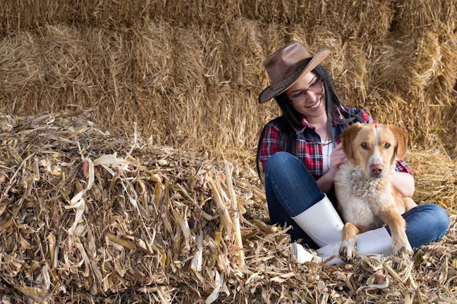 How to Train Your Barn Dog to Go Home