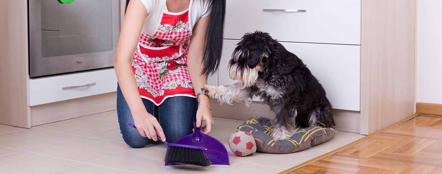Clicker Training method for How to Train Your Dog to Go Potty
