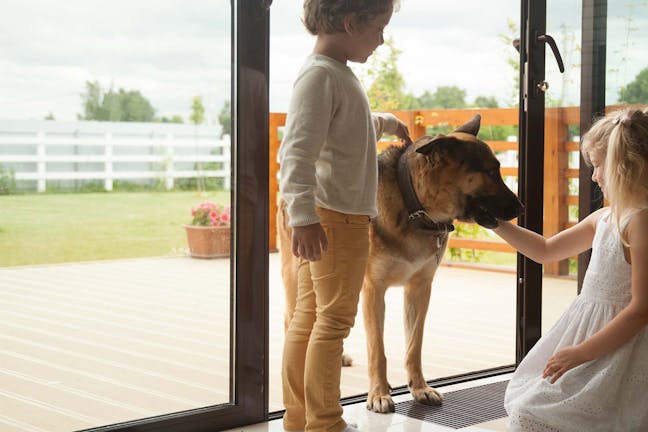 How to Train Your Dog to Greet Visitors How to Train Your Dog to Greet Visitors