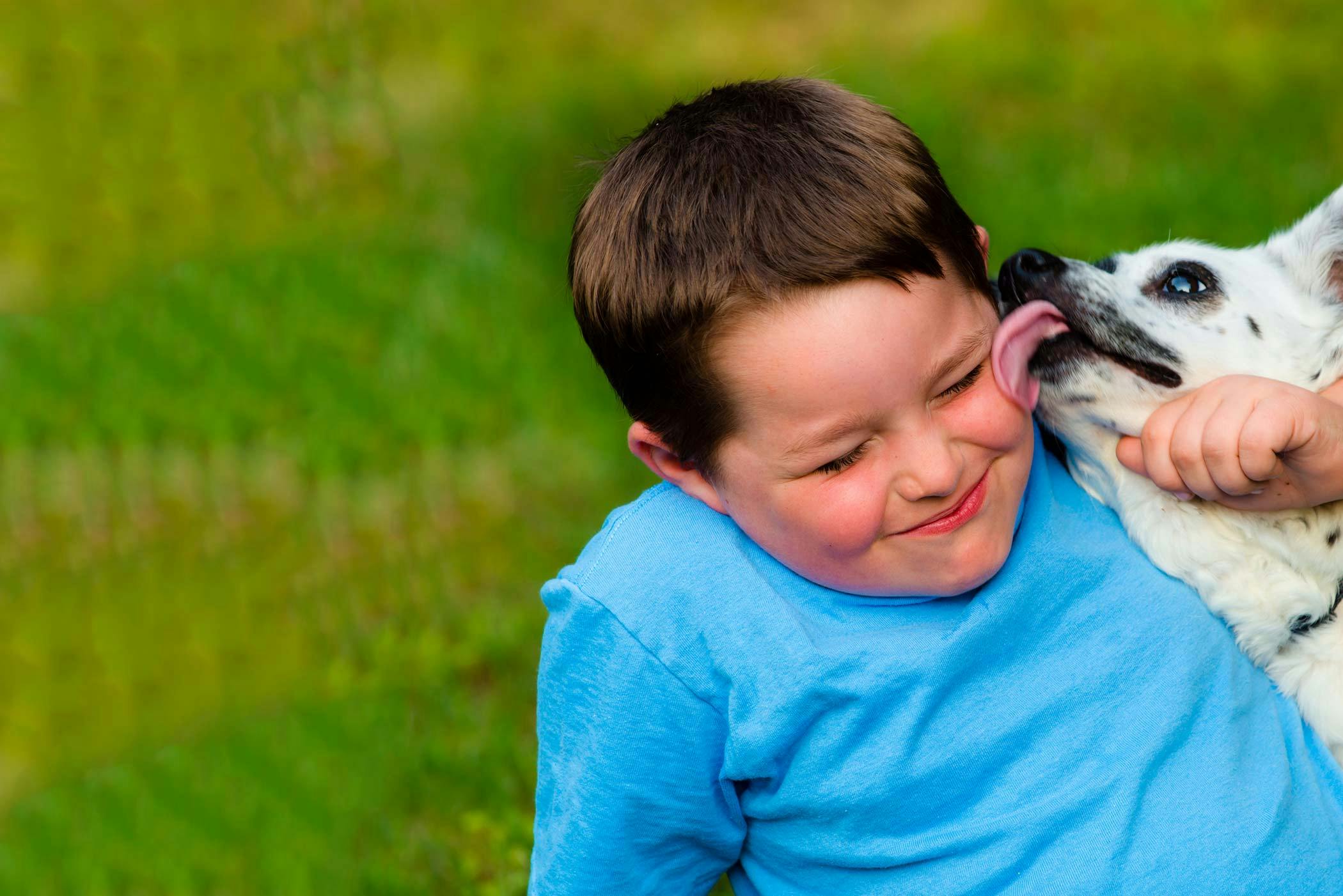 Lickety-split: How to teach your dog to stop licking people