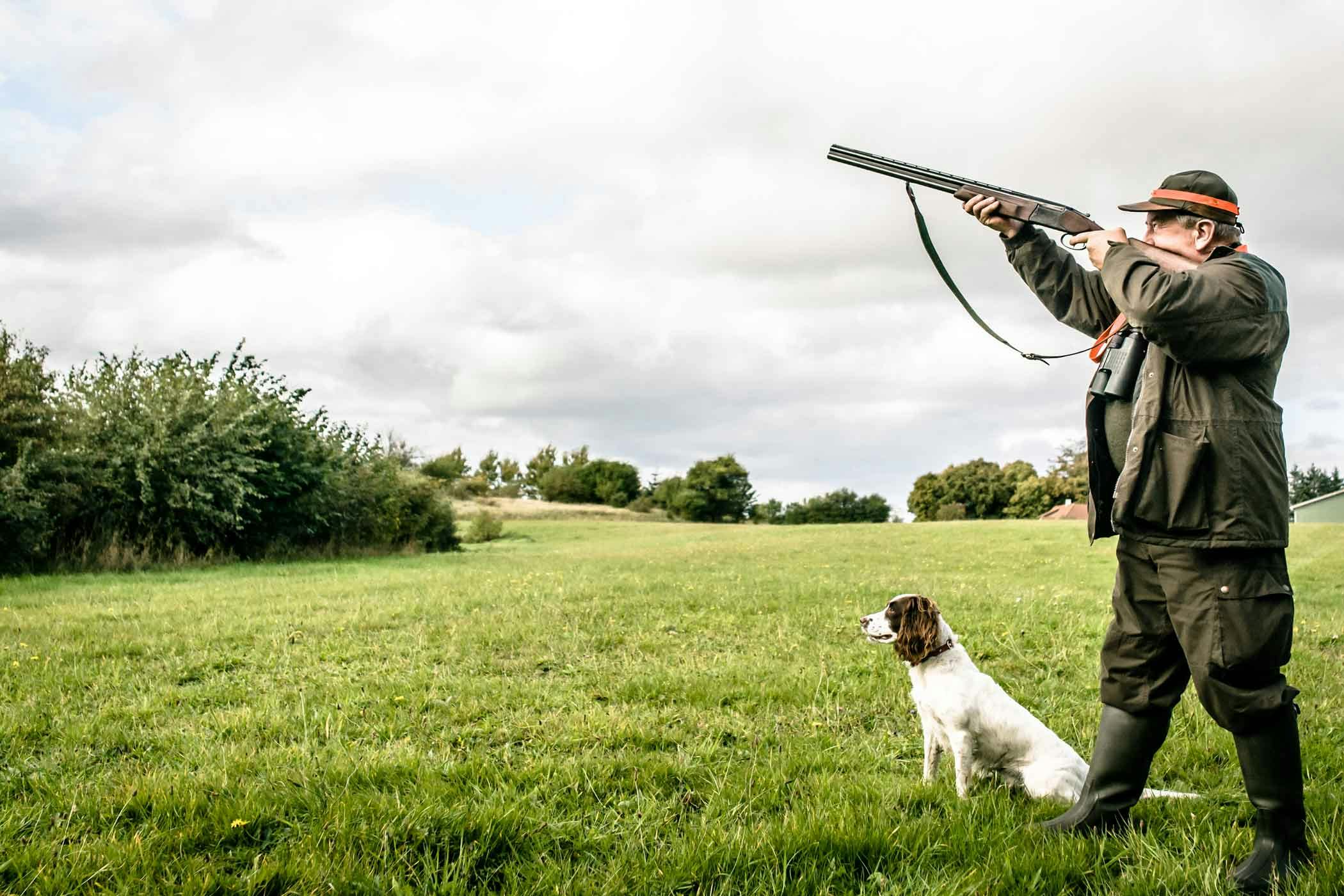 How to Train Your Dog to Hunt Big Game | Wag!