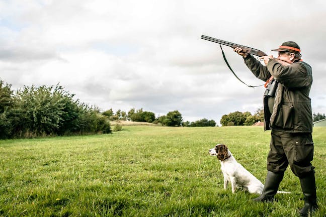 How to Train Your Dog to Hunt Big Game