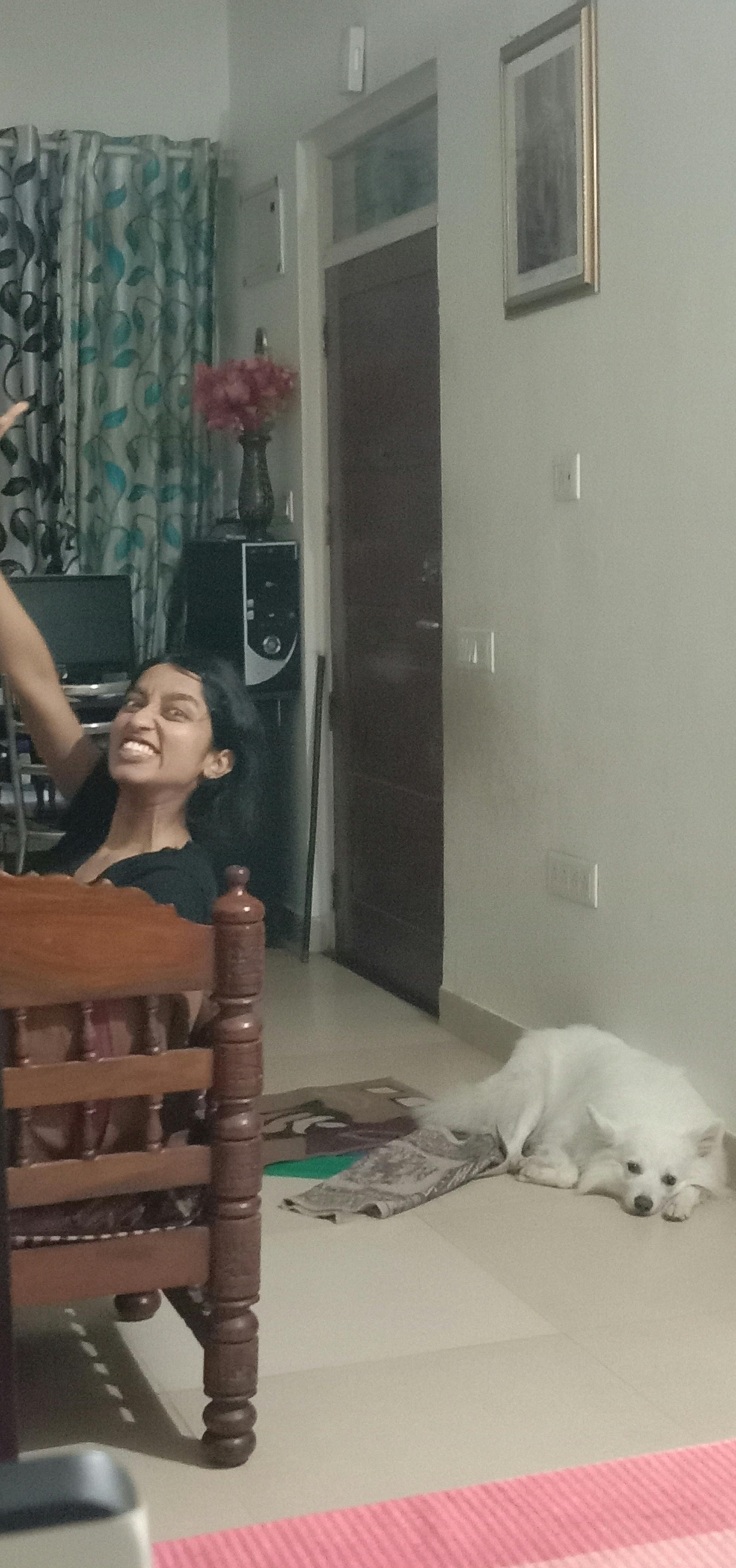 how to get my dog to ignore other dogs