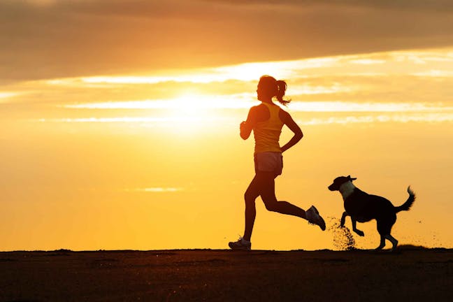 How to Train Your Dog to Jog With You