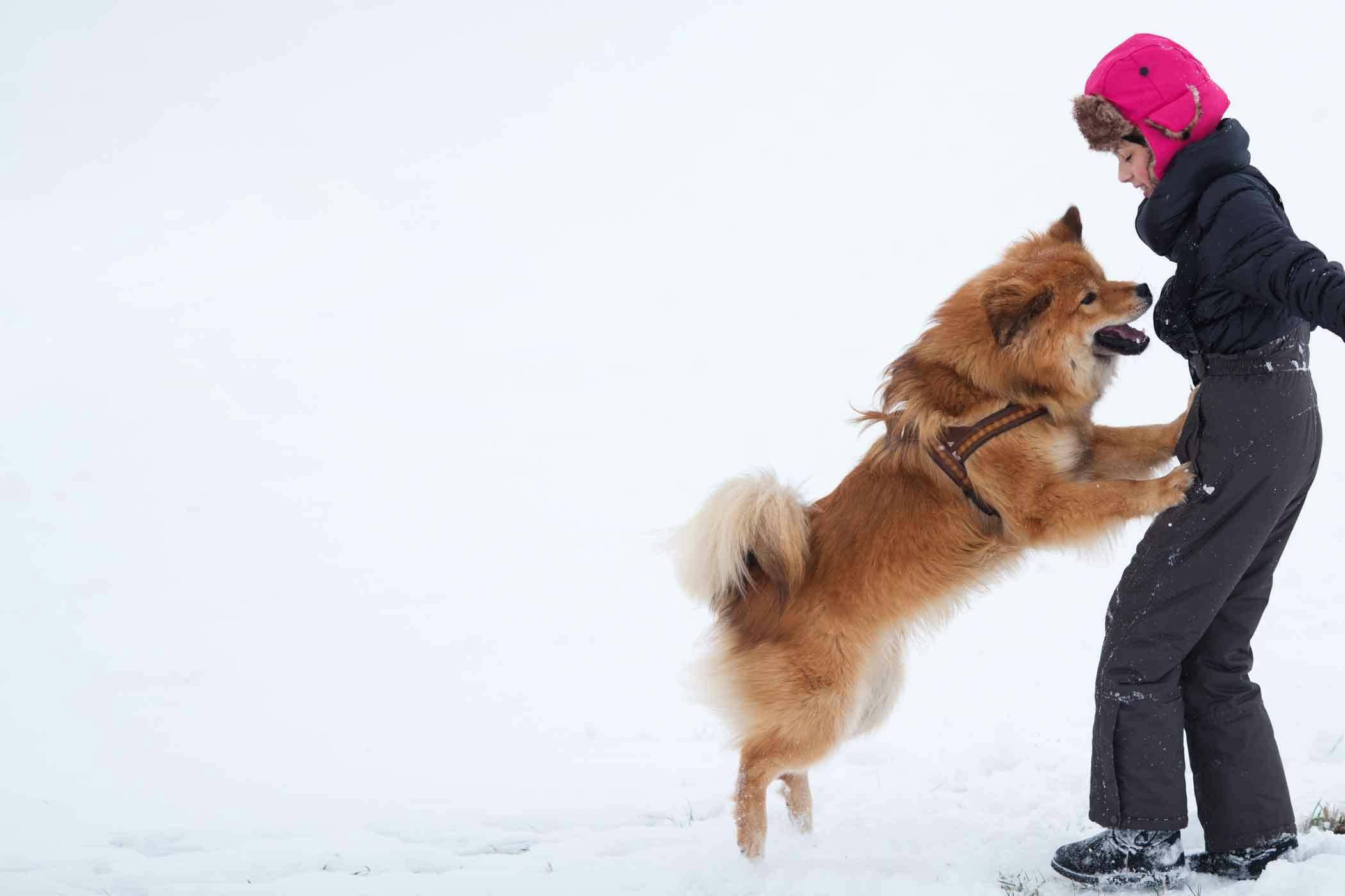 Puppy keeps best sale jumping and biting