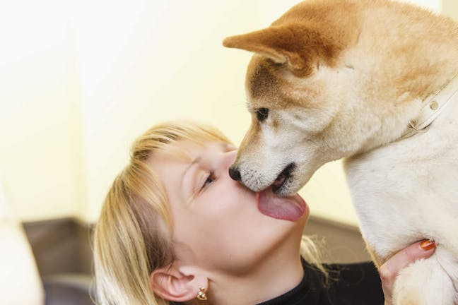 How to Train Your Dog to Not Lick Faces
