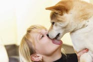 How To Train Your Dog To Not Lick Faces Wag 