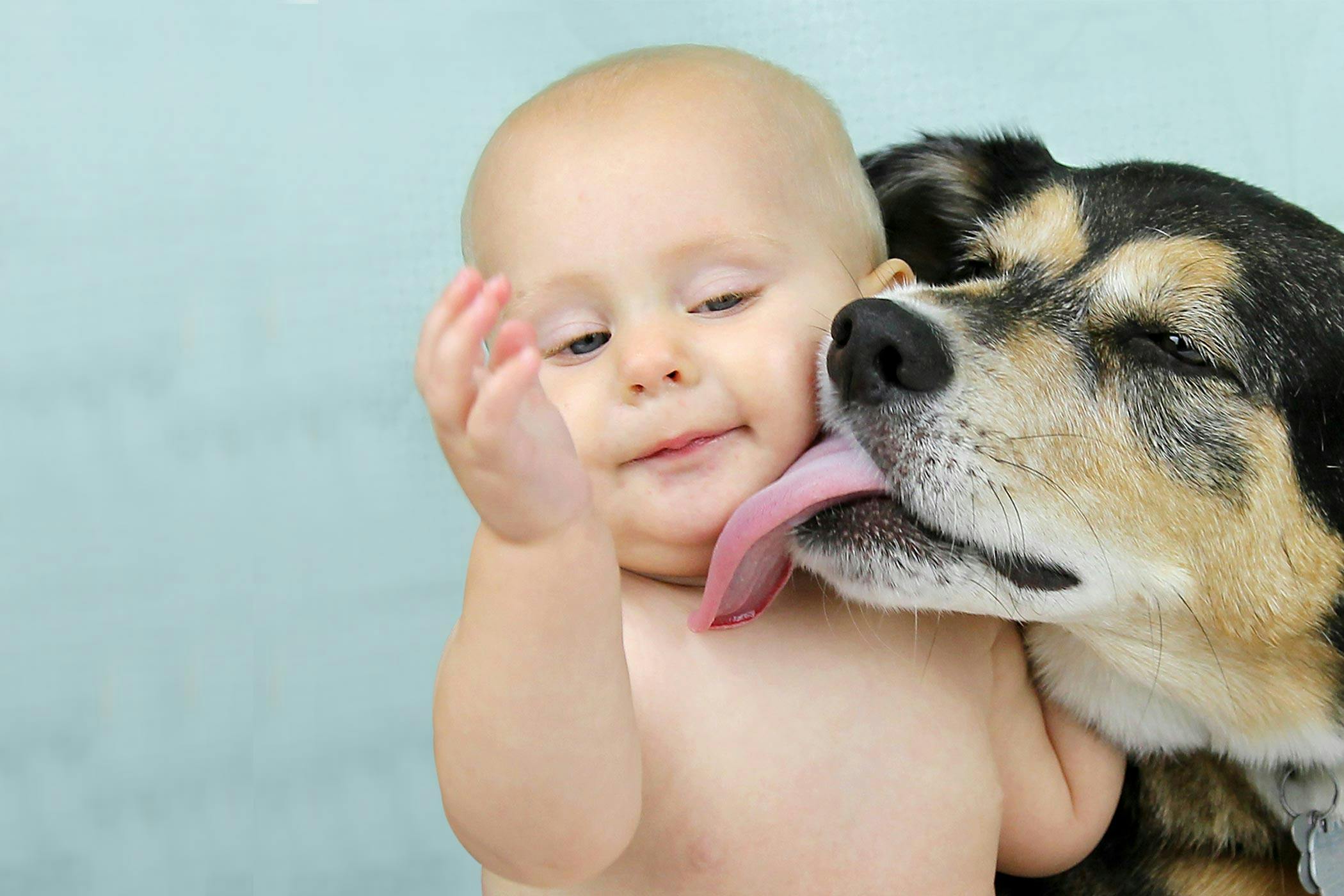 Why does dog lick babys feet