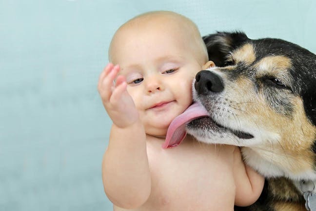 How to Train Your Dog to Not Lick the Baby