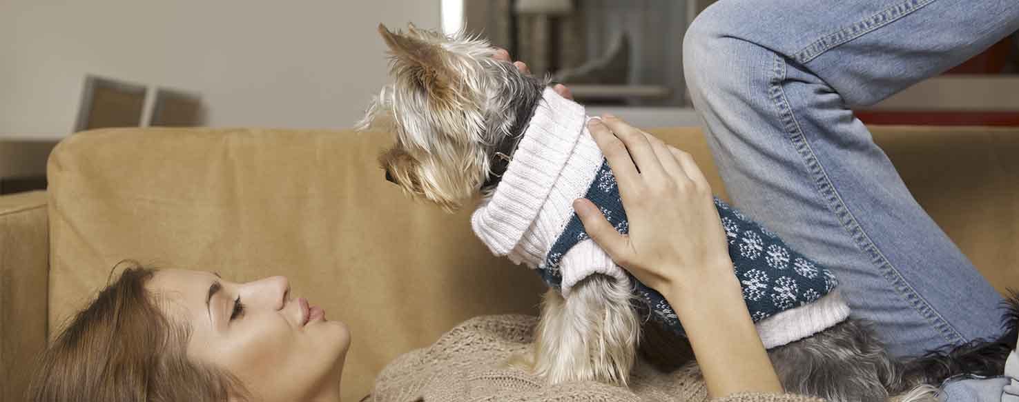 How to Train a Dog Not to Lick: Easy Steps for Lasting Results