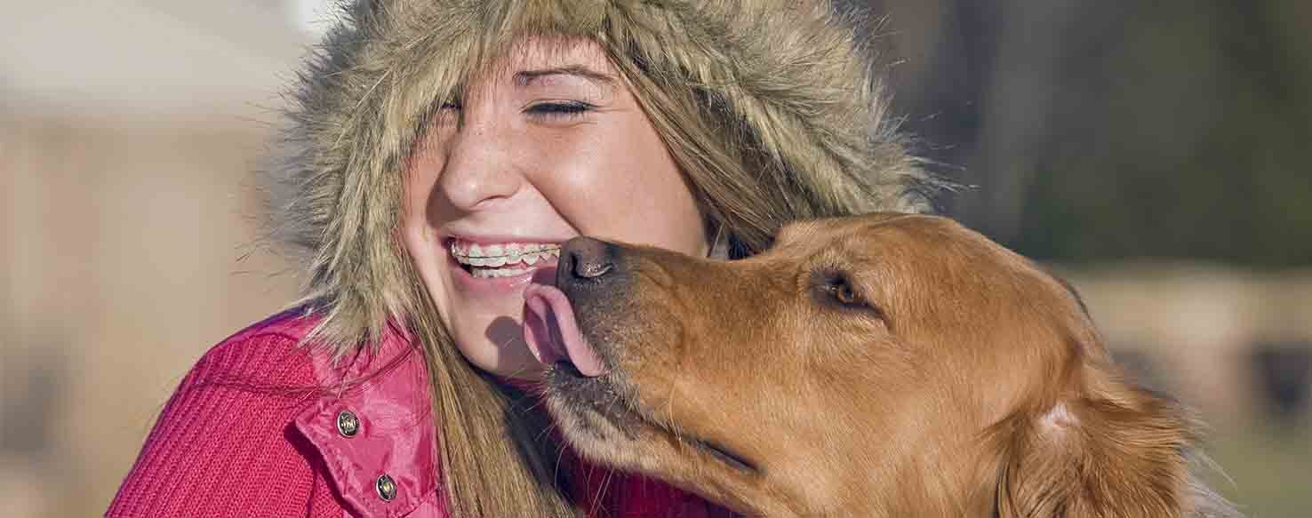Distraction method for How to Train Your Dog to Not Lick