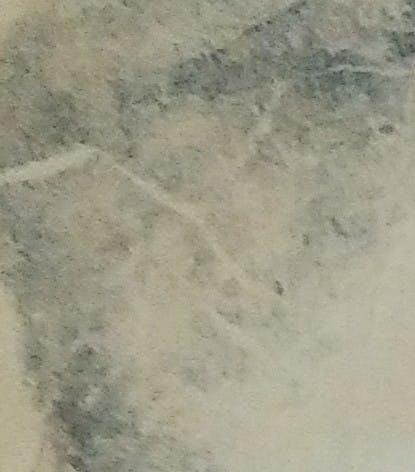 User generated photo