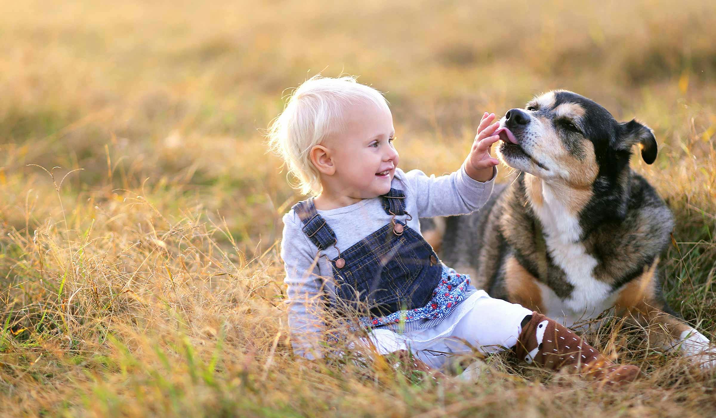 How to Train Your Dog to Protect a Baby