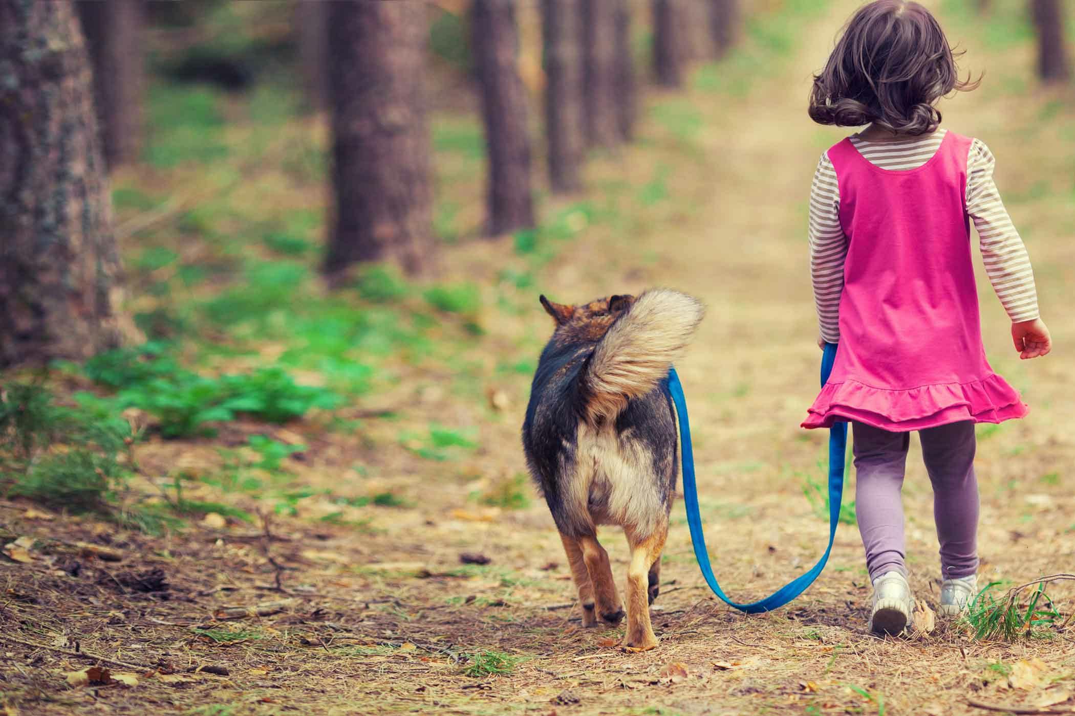 How to Train Your Dog to Protect a Child Wag!
