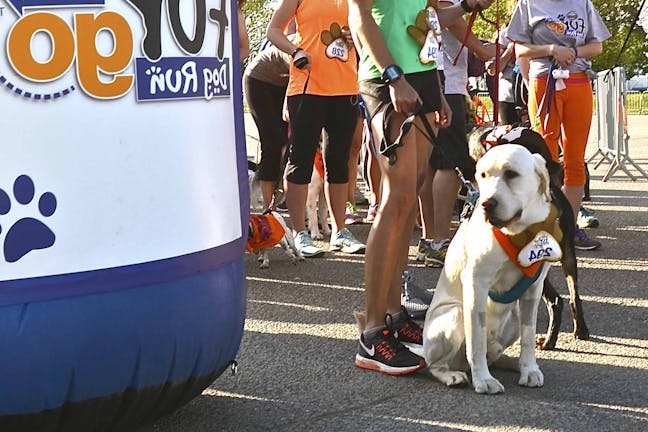 How to Train Your Dog to Run a 5k