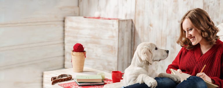 How to Train a Golden Retriever to be a Therapy Dog