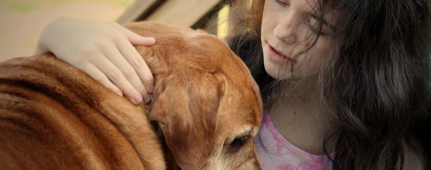 Spend Time Alone Together method for How to Train Your Abused Dog to Trust