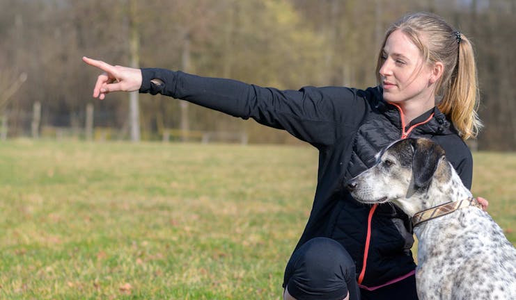 How to Train Your Dog to Understand Hand Commands