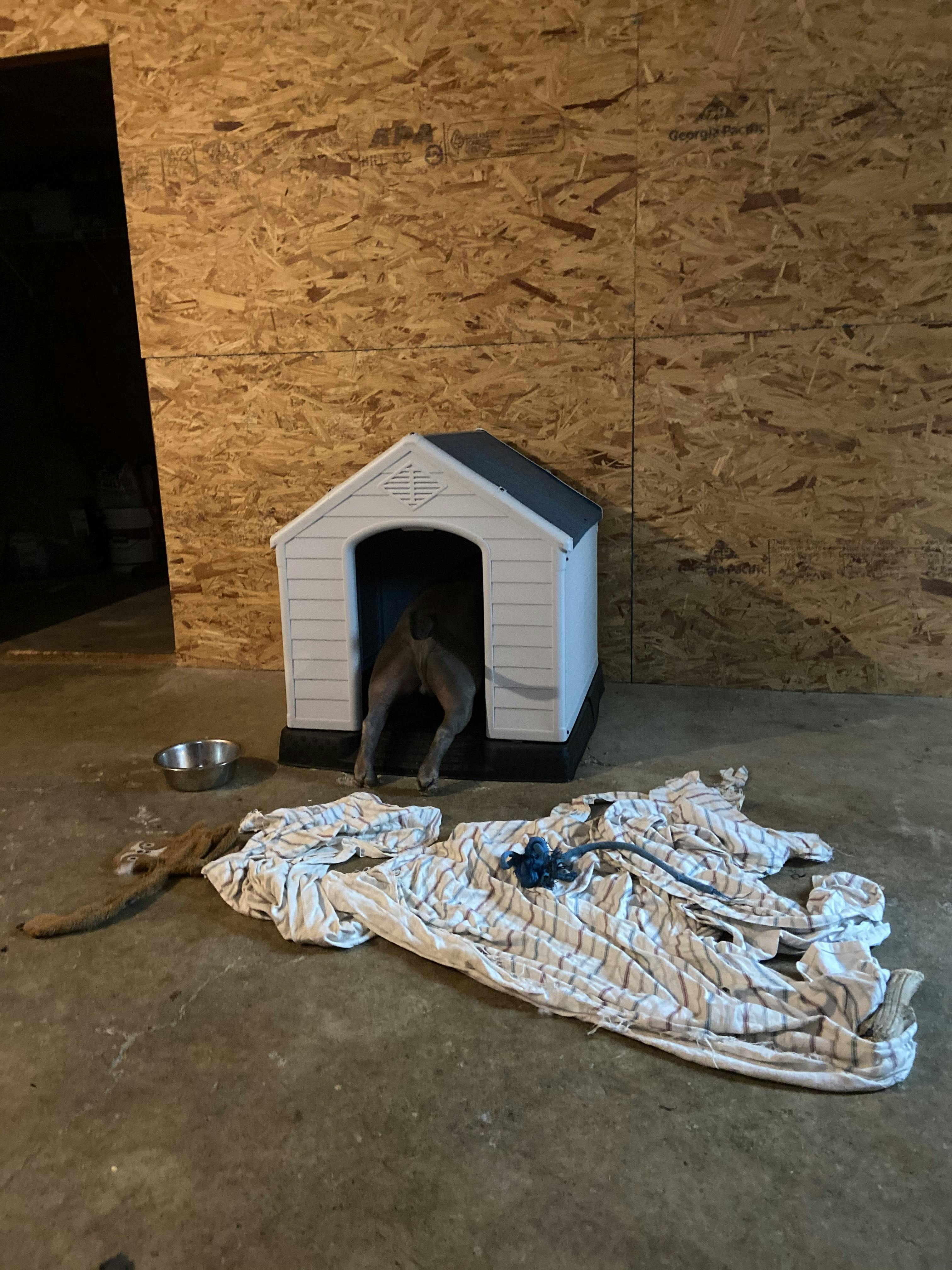 how to keep a dog in a dog house