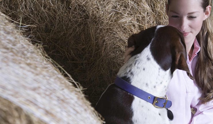 How to Train Your Barn Dog to Use Leash Manners