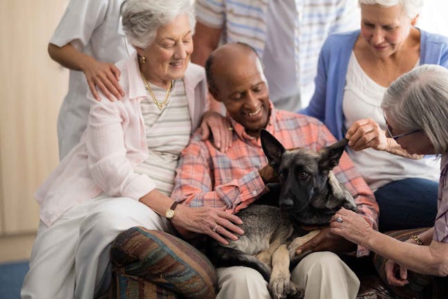 How to Train Your Dog to Visit Nursing Homes