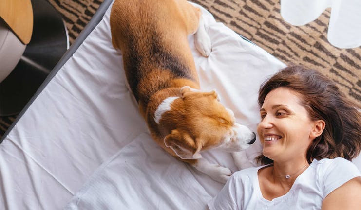 How to Train Your Older Dog to Wake You Up