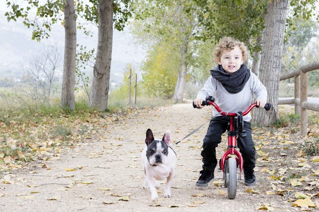 How to Train Your Dog to Walk Beside Your Bike