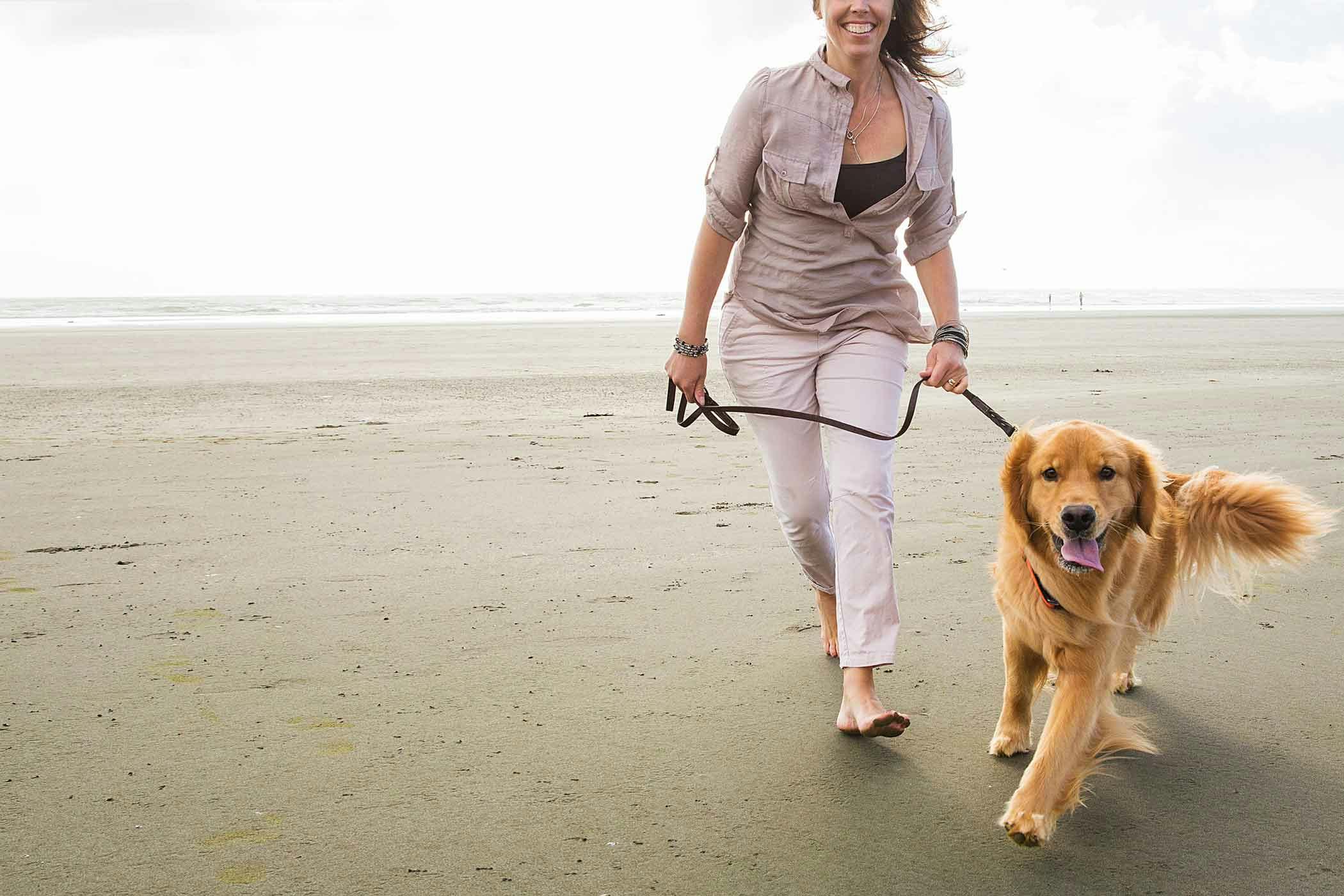 How to Train Your Dog to Walk With You